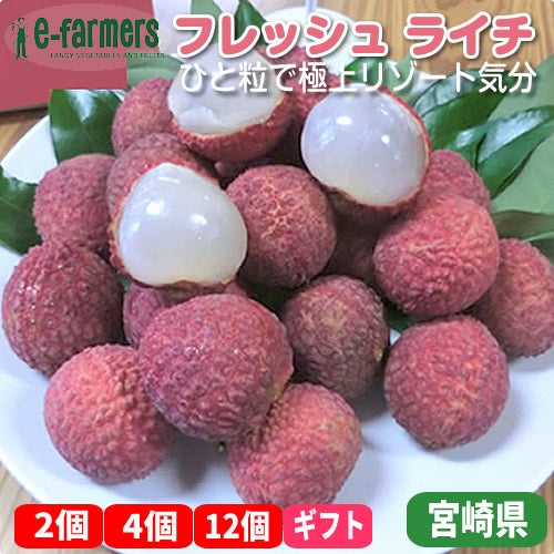フレッシュライチ　 ひと粒で極上リゾート気分 宮崎県産
