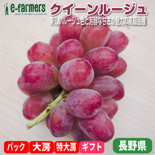 クイーンルージュ | 赤いシャインマスカット 種なし皮ごと食べられる贅沢ぶどう 長野県産