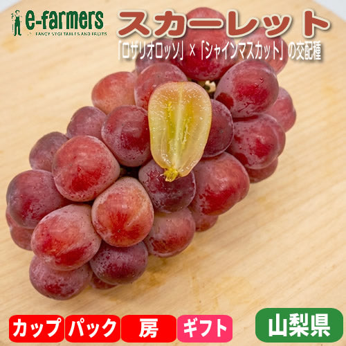 スカーレット | 名画のように華やかな奇跡の赤ぶどう 山梨県産