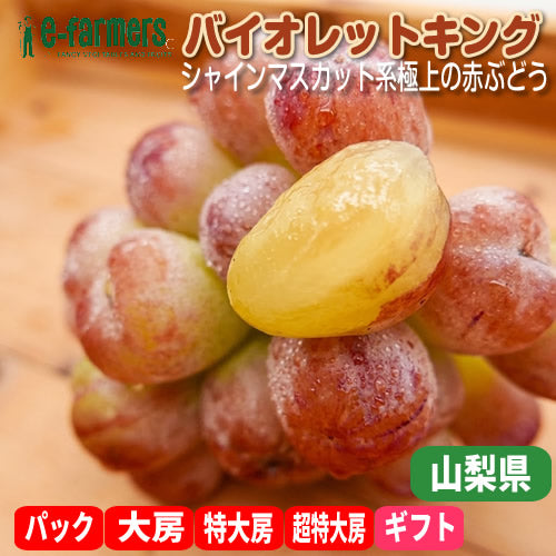 バイオレットキング | 驚愕の大粒！シャインマスカットの血を引く極上の赤ぶどう 山梨県産