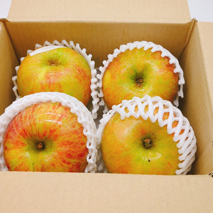 コックスオレンジピピン  | 英国生まれの香り高い伝統りんご 芳醇な酸味と上品な甘み 岩手県産