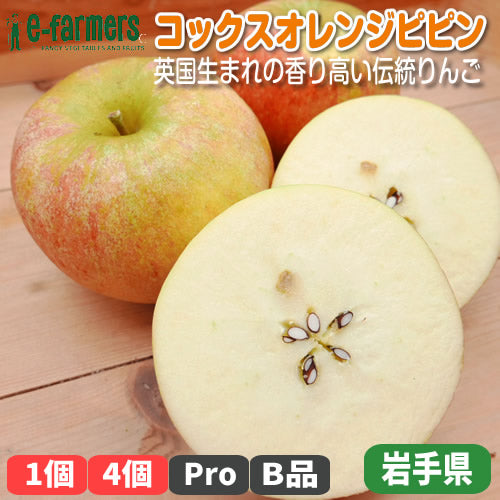 コックスオレンジピピン  | 英国生まれの香り高い伝統りんご 芳醇な酸味と上品な甘み 岩手県産