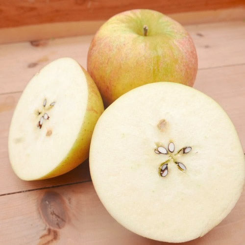 コックスオレンジピピン  | 英国生まれの香り高い伝統りんご 芳醇な酸味と上品な甘み 岩手県産