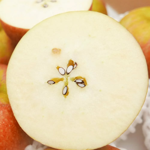 コックスオレンジピピン  | 英国生まれの香り高い伝統りんご 芳醇な酸味と上品な甘み 岩手県産