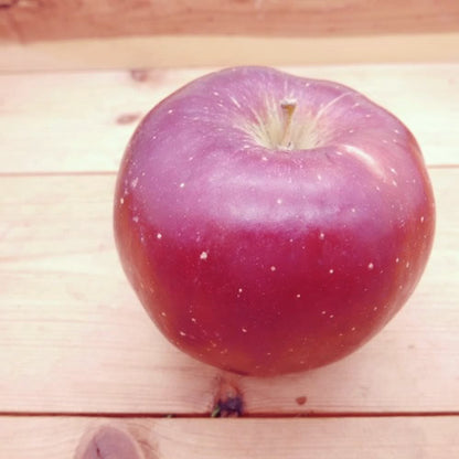 炎舞(えんぶ) | 甘酸バランス・芳香・希少品種　岩手県産