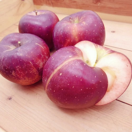 炎舞(えんぶ) | 甘酸バランス・芳香・希少品種　岩手県産