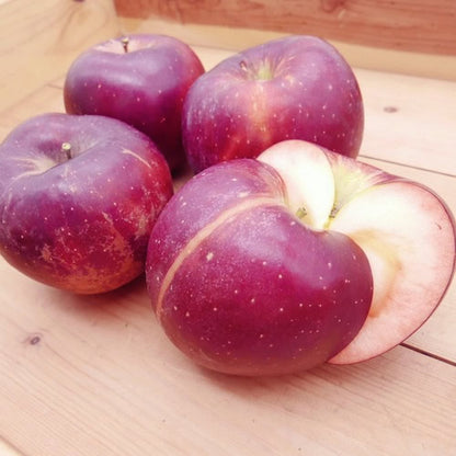 炎舞(えんぶ) | 甘酸バランス・芳香・希少品種　岩手県産