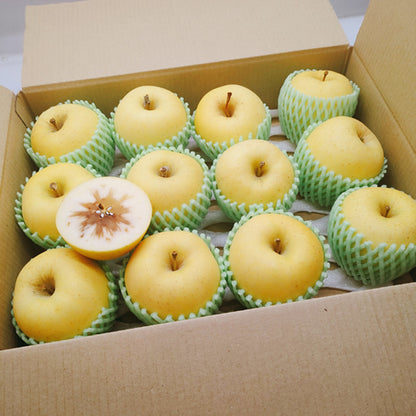 はるか | 希少な冬の極甘りんご・蜜感あふれる上品な味わい 岩手県産