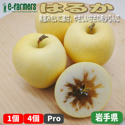 はるか | 希少な冬の極甘りんご・蜜感あふれる上品な味わい 岩手県産