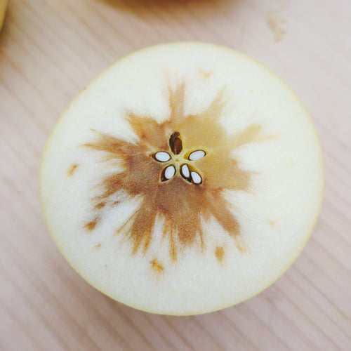 はるか | 希少な冬の極甘りんご・蜜感あふれる上品な味わい 岩手県産