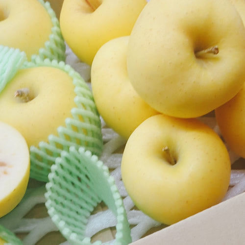 はるか | 希少な冬の極甘りんご・蜜感あふれる上品な味わい 岩手県産