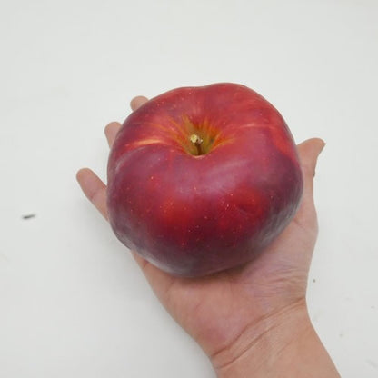 紅の夢(くれないのゆめ) | 赤果肉りんご 希少ロット・映える濃紅色フルーツ 岩手県産