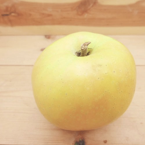 なかののきらめき |  希少で華やかな彩りのプレミアムアップル　岩手県産