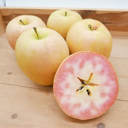なかののきらめき |  希少で華やかな彩りのプレミアムアップル　岩手県産