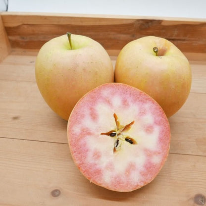 なかののきらめき |  希少で華やかな彩りのプレミアムアップル　岩手県産