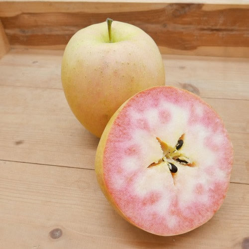 なかののきらめき |  希少で華やかな彩りのプレミアムアップル　岩手県産