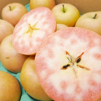 なかののきらめき |  希少で華やかな彩りのプレミアムアップル　岩手県産