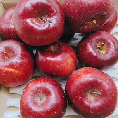 冬彩華(とうさいか) | 切った瞬間淡く美しいピンク色が映える甘酸バランスりんご　岩手県産