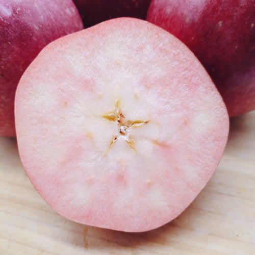 冬彩華(とうさいか) | 切った瞬間淡く美しいピンク色が映える甘酸バランスりんご　岩手県産