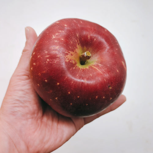 冬彩華(とうさいか) | 切った瞬間淡く美しいピンク色が映える甘酸バランスりんご　岩手県産