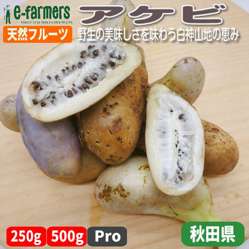 天然フルーツ アケビ｜野生の美味しさを味わう白神山地の恵み 秋田県産
