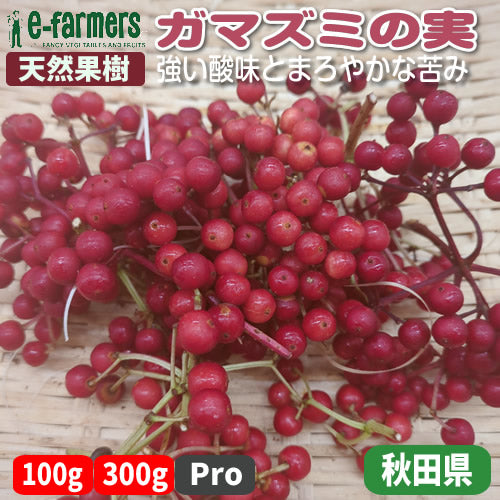 天然果樹 ガマズミの実　ビタミンCが豊富で強い酸味とまろやかな苦み 秋田県産