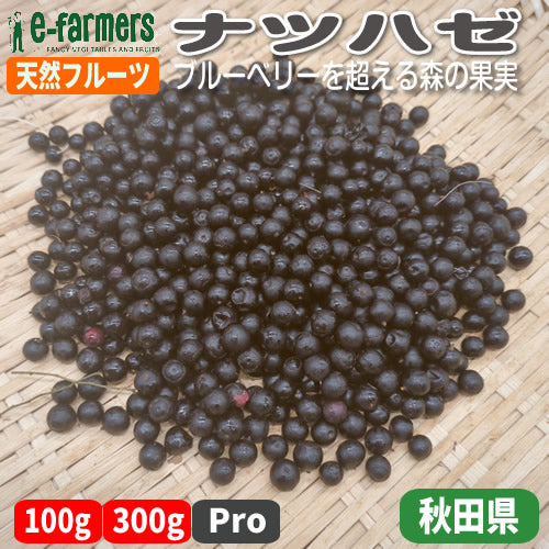 天然フルーツ ナツハゼ | 白神山地育ち 抗酸化力たっぷりブルーベリーを超える森の果実 秋田県産