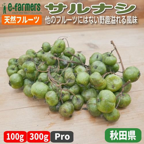 天然フルーツ サルナシ | 秋田の山採れ 皮ごと食べられる濃厚ミニキウイ 秋田県産