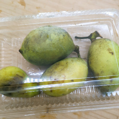 天然フルーツ ポポの実 | 数量限定 森のカスタード 秋の幻フルーツ　秋田県産