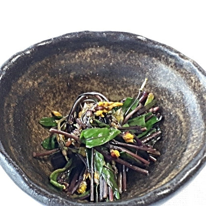 紅菜苔(紅菜花)  クセのないアスパラの様な甘みが魅力 福岡県産