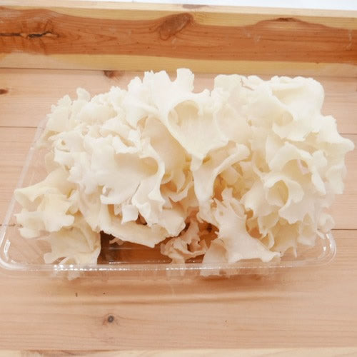 ハナビラダケ(花びら茸)  フレッシュきのこ スーパーフード 旨み成分豊富 長野県産